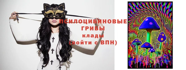 молекула духа Арсеньев