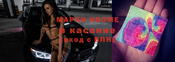 молекула духа Арсеньев