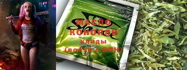 молекула духа Арсеньев