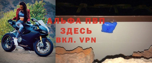 молекула духа Арсеньев