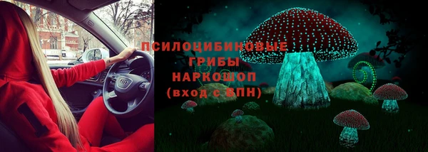 молекула духа Арсеньев