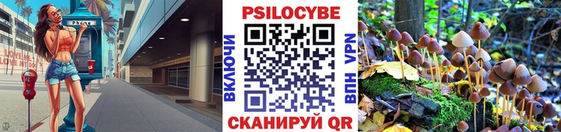 наркошоп  мега ТОР  Галлюциногенные грибы мицелий  Полярные Зори 